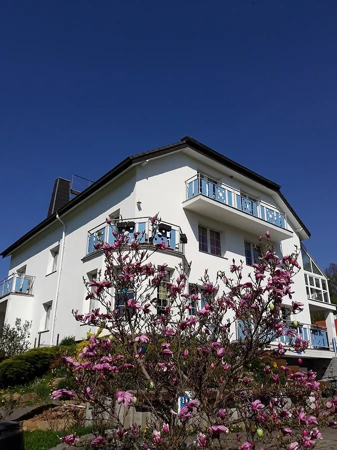 Πανσιόν Pension Residenz Iva Ruzova