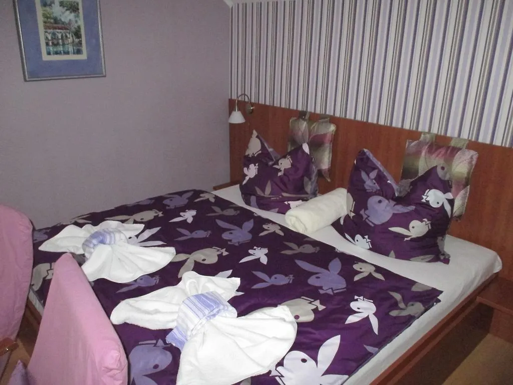 Pension Residenz Iva Ruzova 0*, Prague Czech Republic