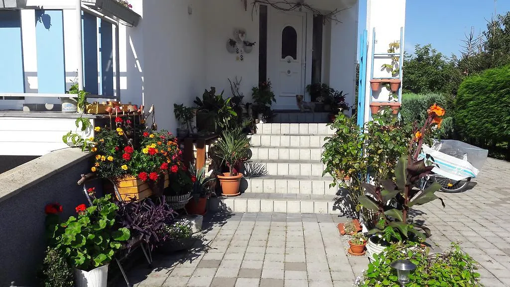 Pension Residenz Iva Ruzova Guest house Prague